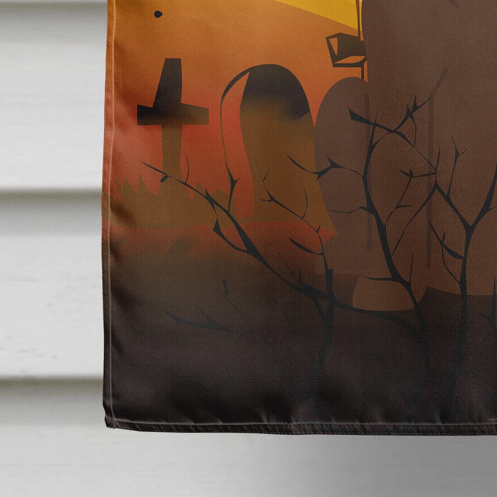 Caroline's Treasures BB4322CHF Halloween Chocolate Labrador Flag Canvas House Size, Large, Multicolor