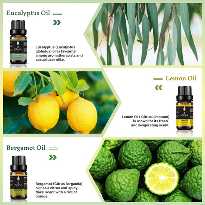 KRIAA Goodness Citrus & Herb Essential Oils Set, 6 x 10ml 🍁 All In One Marketplace Canada