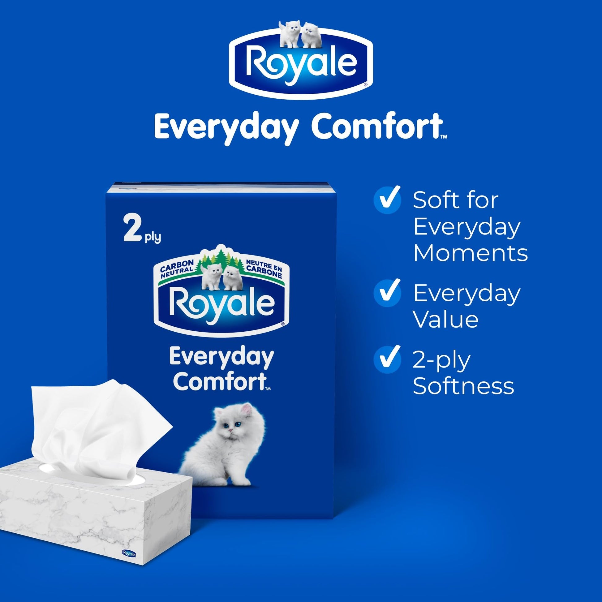 Royale Everyday Comfort 2 Ply Facial Tissue, 24 Tissue Boxes, 100 Tissues per Box - Available at All In One Marketplace Canada