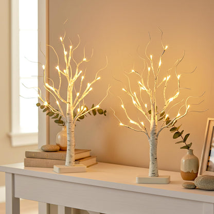 EAMBRITE 2 Pack Lighted Birch Tree, Christmas Artificial Tree Battery Operated Timer with 24 Warm White Lights, Tabletop Tree Christmas Decorations Centerpiece with for Wedding Party Home Room Decor 🍁 All In One Marketplace Canada