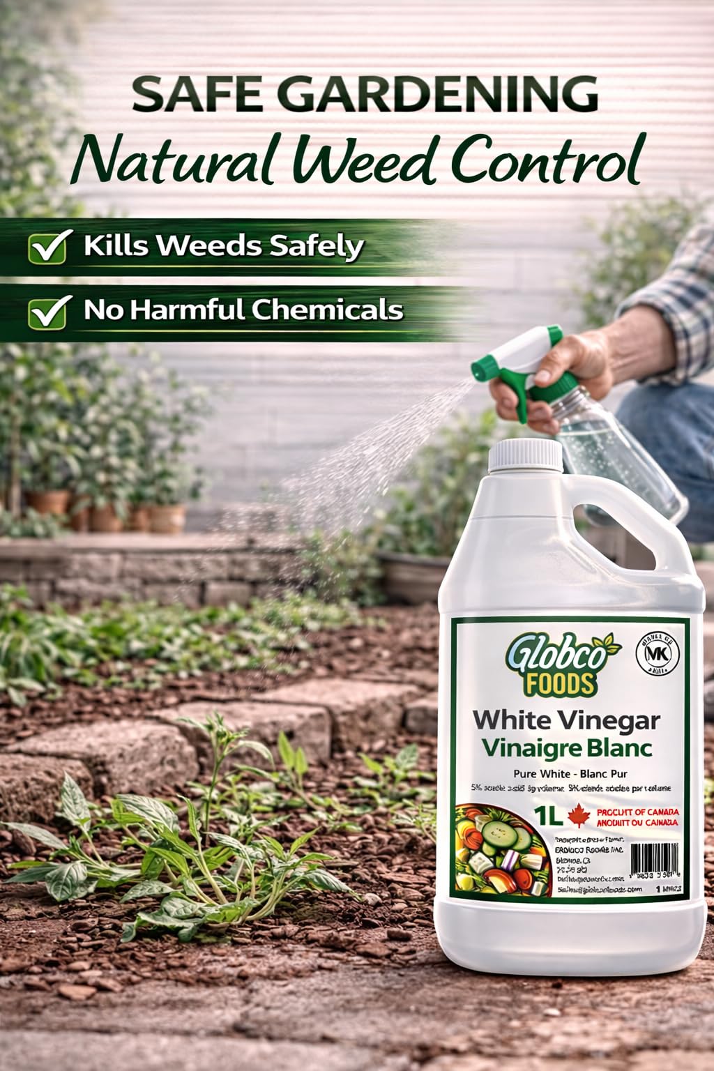 Globco Foods Pure White Vinegar 1L - Allergen-Free & Gluten-Free - No Additives - Ideal for Cooking & Cleaning - Multi-Purpose Cleaner for Kitchen, Bathroom & Laundry - Premium Quality- Made in Canada - Available at All In One Marketplace Canada
