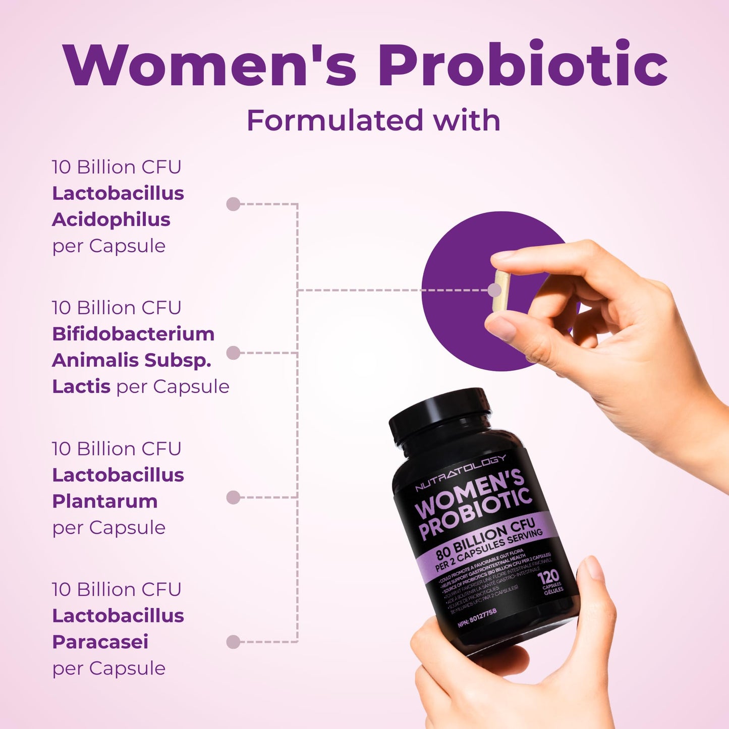 Nutratology® Probiotics for Women | Canadian-Made | 40 Billion CFUs Per Capsule | 80 Billion CFUs Per Serving - Bloating Relief & Digestion - 4 Strains of Women's Probiotic for Gut Health -120 Count
