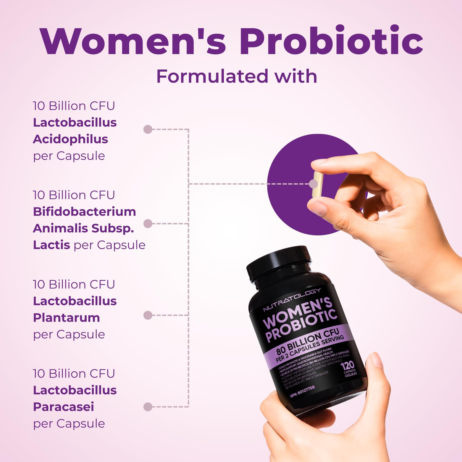 Nutratology® Probiotics for Women | Canadian-Made | 40 Billion CFUs Per Capsule | 80 Billion CFUs Per Serving - Bloating Relief & Digestion - 4 Strains of Women's Probiotic for Gut Health -120 Count