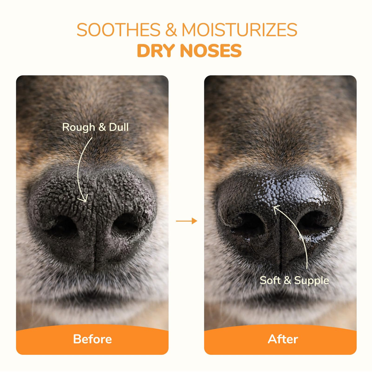 Lick-Safe Dog Paw & Nose Balm | 2.1 oz All Natural Wax with Coconut Oil 🍁 All In One Marketplace Canada
