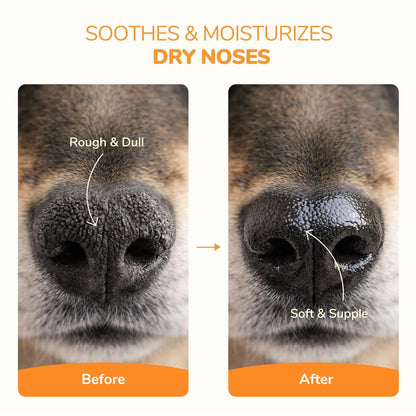 Lick-Safe Dog Paw & Nose Balm | 2.1 oz All Natural Wax with Coconut Oil 🍁 All In One Marketplace Canada