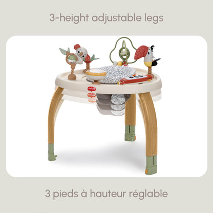 Tiny Love 5-in-1 Here I Grow Stationary Activity Center - Boho Chic Tiny Love
