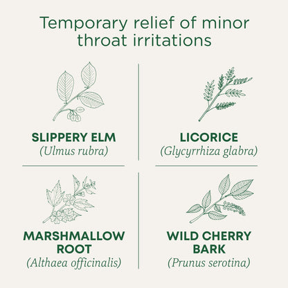 Traditional Medicinals Organic Throat Coat Herbal Tea - 6 Pack (96 Tea Bags) - Soothing Blend for Throat Comfort