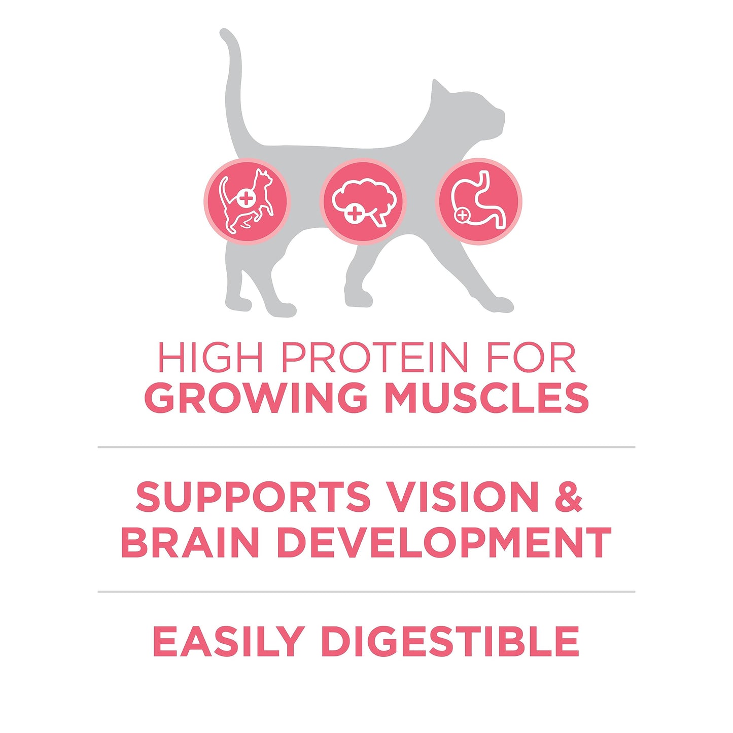 Purina ONE +Plus Dry Kitten Food, Healthy Kitten with Chicken 3kg Purina ONE
