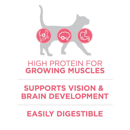 Purina ONE +Plus Dry Kitten Food, Healthy Kitten with Chicken 3kg Purina ONE