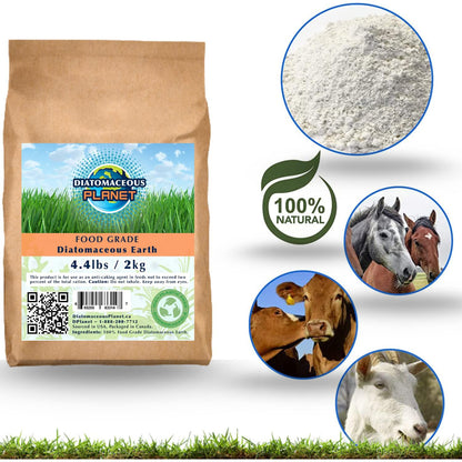 Diatomaceous Planet a Proudly Canadian Company, 2 KG / 4.4 LB All Natural, Organic Food Grade Powder, Enriched Fossil Powder by Diatomaceous Planet