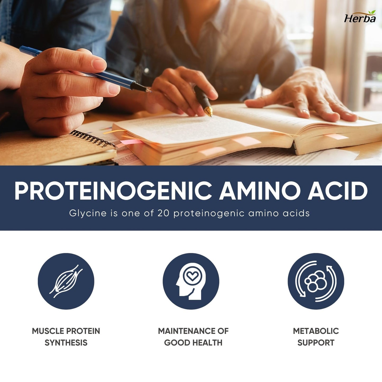 Herba Glycine Supplement 750mg - 180 Capsules | >99% Ultra Pure Glycine Capsules | Free-form Proteinogenic Amino Acids Supplements | Made in Canada - Available at All In One Marketplace Canada