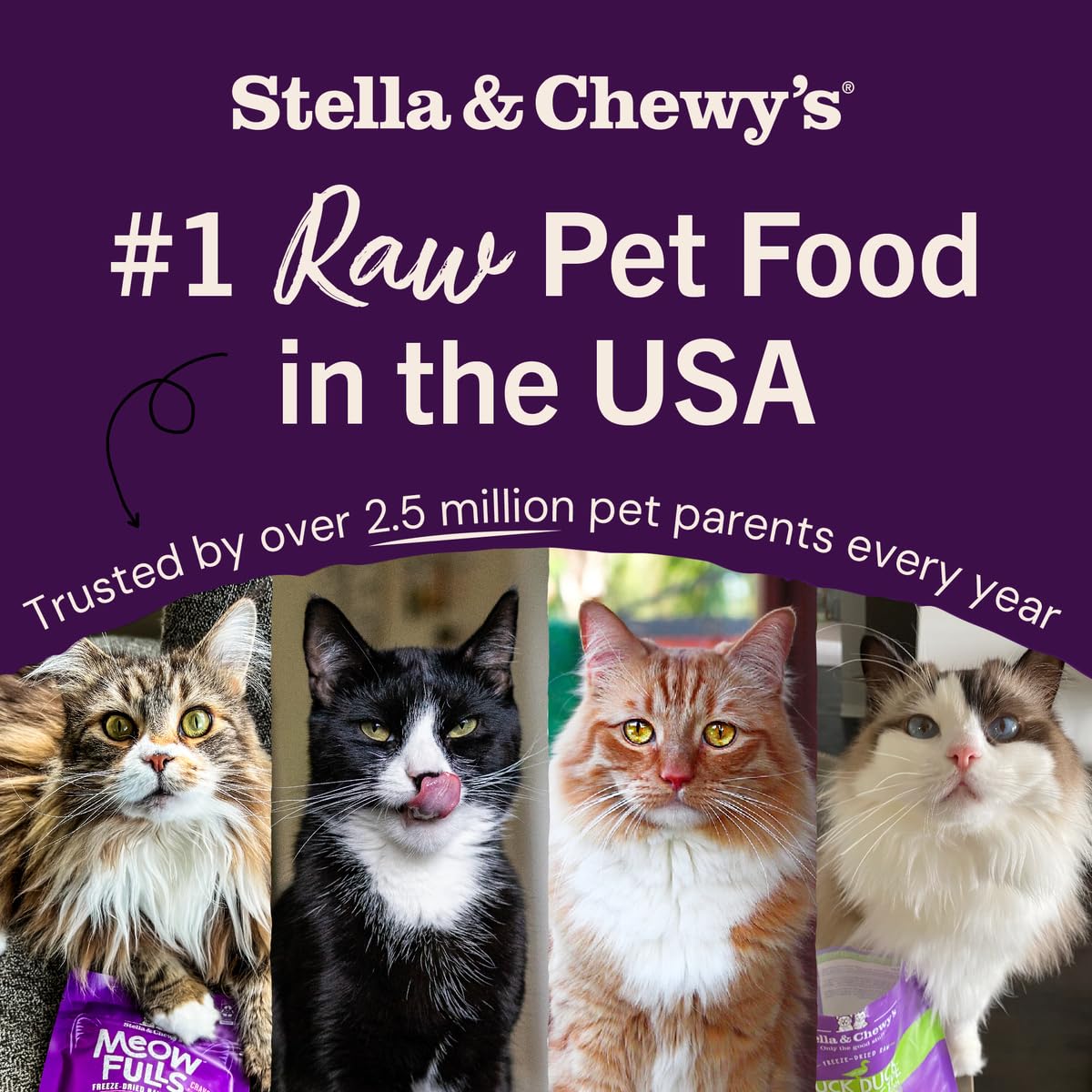 Stella & Chewy's Freeze-Dried Raw Cat Dinner Morsels – Grain Free, Protein Rich Cat & Kitten Food – Chick Chick Chicken Recipe – 510g Bag 🍁 All In One Marketplace Canada