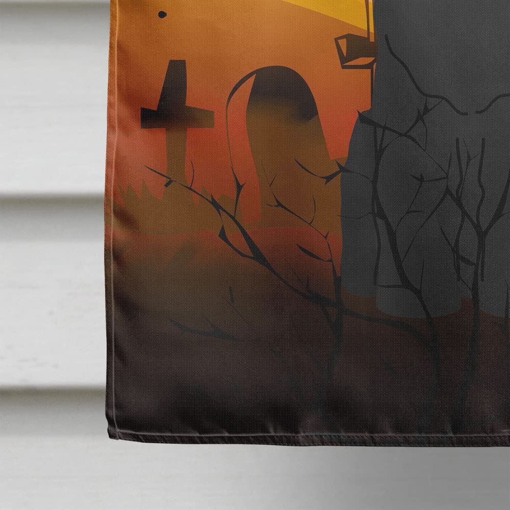 Caroline's Treasures BB4292CHF Halloween Black Russian Terrier Flag Canvas House Size, Large, Multicolor