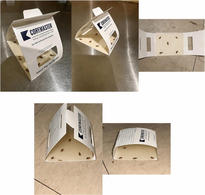 Coremaster Insect/Cockroach Monitor & Traps | Strong Adhesive Boards for Silverfish, Roaches, Ants | for Indoor Use i.e Kitchen, Basement,Garage | Safe, Non-Toxic (6 boards-18 Traps)