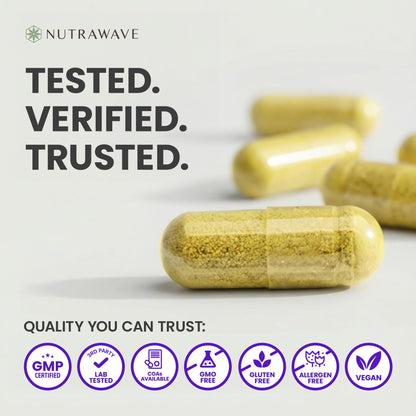 Nutrawave Pure Berberine Maximum Potency, 1000mg per Serving(Each Capsule 500mg), Supports Blood Sugar Levels, Healthy Lipid(Fat) & Glucose Metabolism, Non-GMO, Vegan, Gluten Free, 90 Capsules, 1 Pack