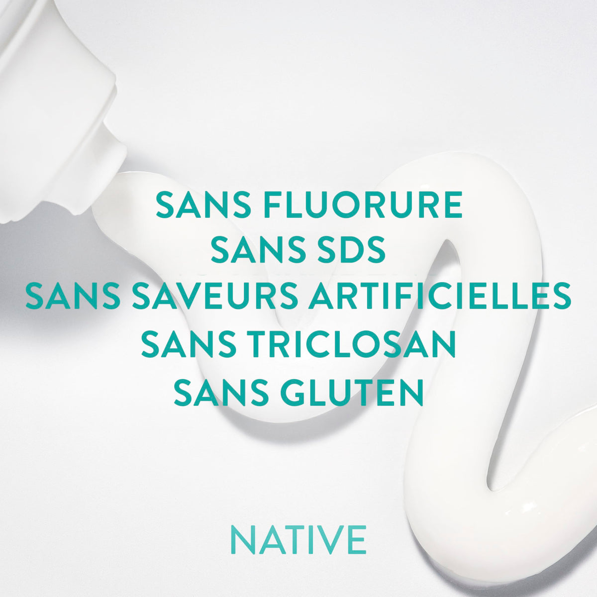 Native Fluoride Free Toothpaste, Peppermint Flavor, 90mL 3 Pack 🍁 All In One Marketplace Canada