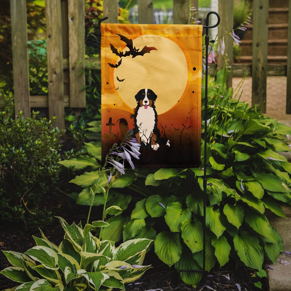 Drapeau de jardin Halloween pour chien bouvier bernois Caroline's Treasures BB4302GF, petite taille, multicolore