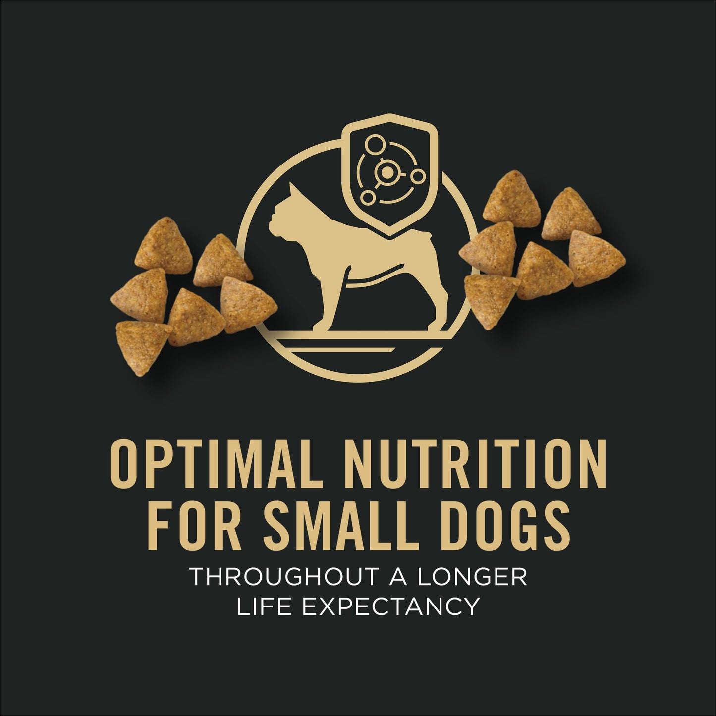 Purina Pro Plan Dry Dog Food, Specialized Small Breed Chicken & Rice - 8.16 kg Bag (1 Pack) Pro Plan