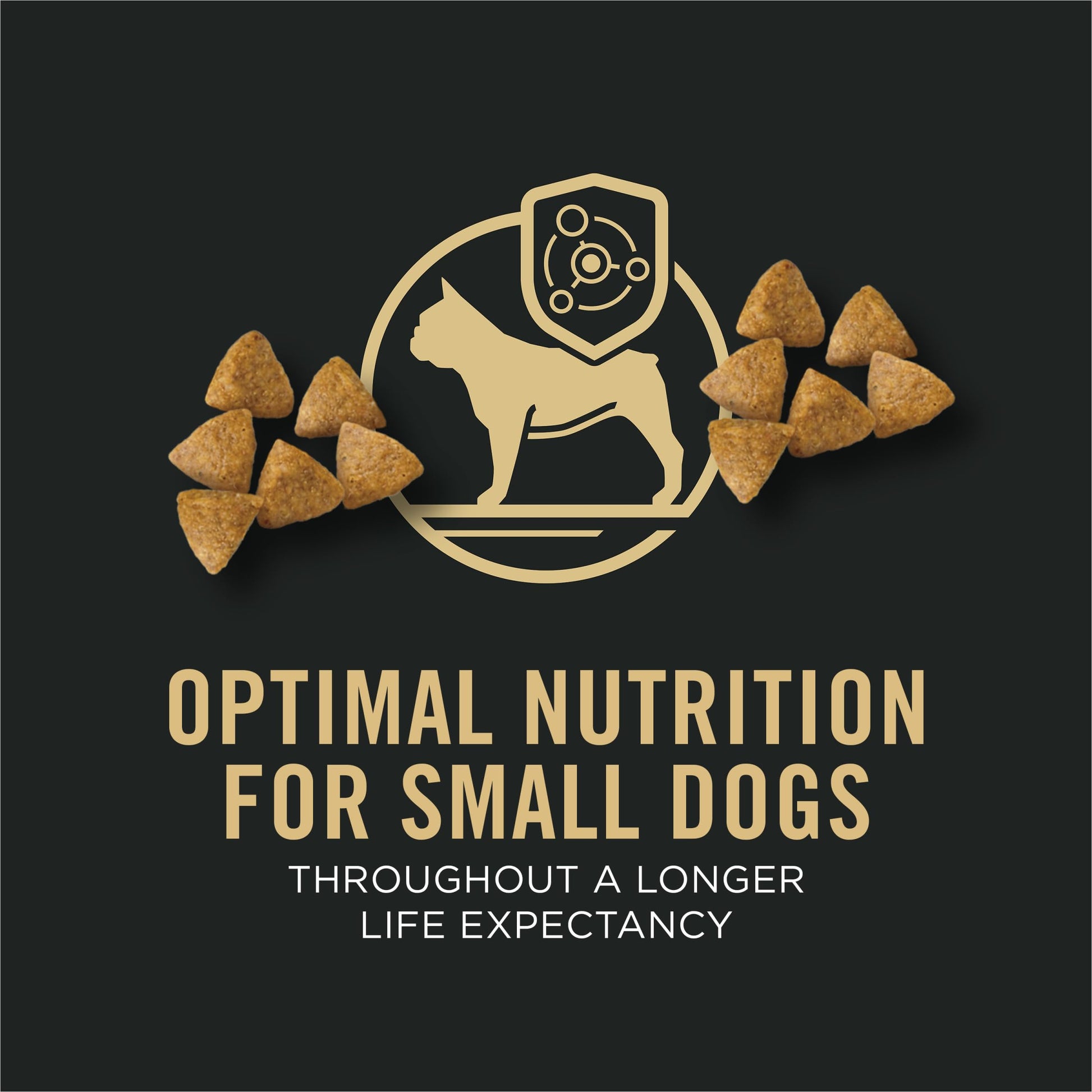 Purina Pro Plan Dry Dog Food, Specialized Small Breed Chicken & Rice - 8.16 kg Bag (1 Pack) Pro Plan