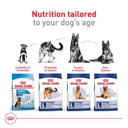 Royal Canin Size Health Nutrition Large Adult Dry Dog Food, 40 lb Bag