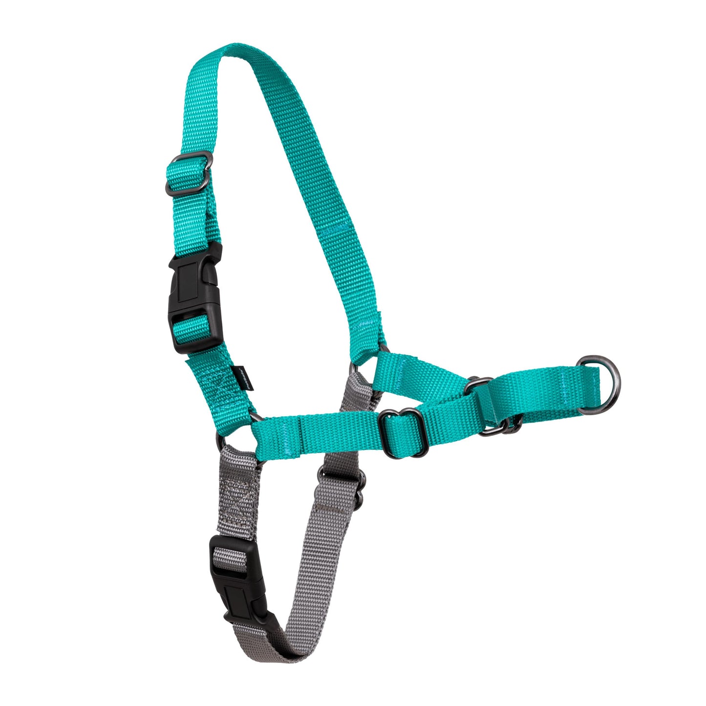 PetSafe Easy Walk Dog Harness, Teal/Gray, Medium 🍁 All In One Marketplace Canada