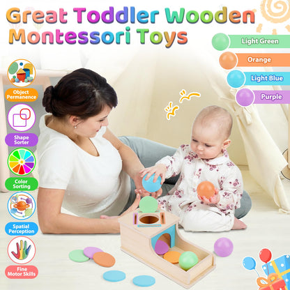FCSONU Toddlers Montessori Ball & Coin Box Toys for 1 2 3 Year Old Boy Girl 🍁 All In One Marketplace Canada
