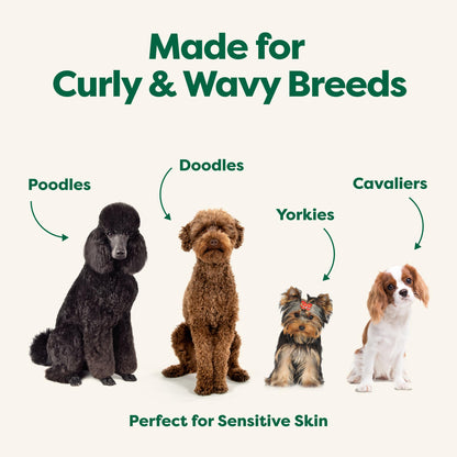 Earth Rated (A Canadian Company), 3-in-1 Detangling Dog Shampoo and Conditioner, Deodorizing Oatmeal Shampoos for Dogs and Puppies, Great for Smelly Pets, White Tea and Basil Scent, 473 ml