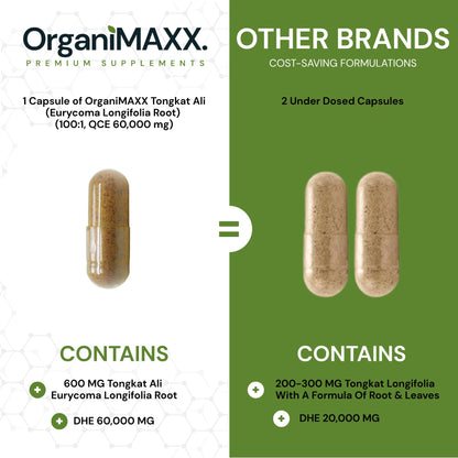 6X Strength Tongkat Ali 600 MG PER SINGLE CAPSULE 60,000 MG Equivalent 100:1 Extract Ratio Highest Potency, OrganiMAXX Longjack Eurycoma Longifolia Non-GMO Premium Tongkat Ali Supplement For Men. - Available at All In One Marketplace Canada