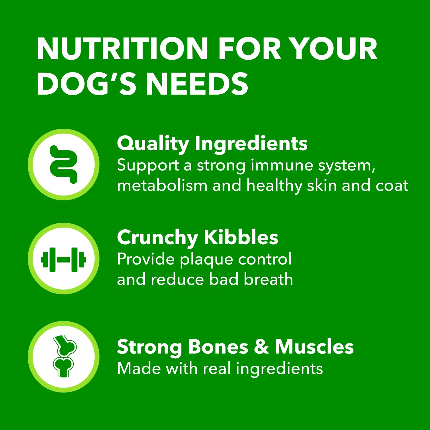 IAMS Proactive Health Minichunks Dry Dog Food – Crunchy Kibble for Adult Dogs – Chicken & Whole Grain Recipe – 13.61KG (30LB) Bag - Available at All In One Marketplace Canada