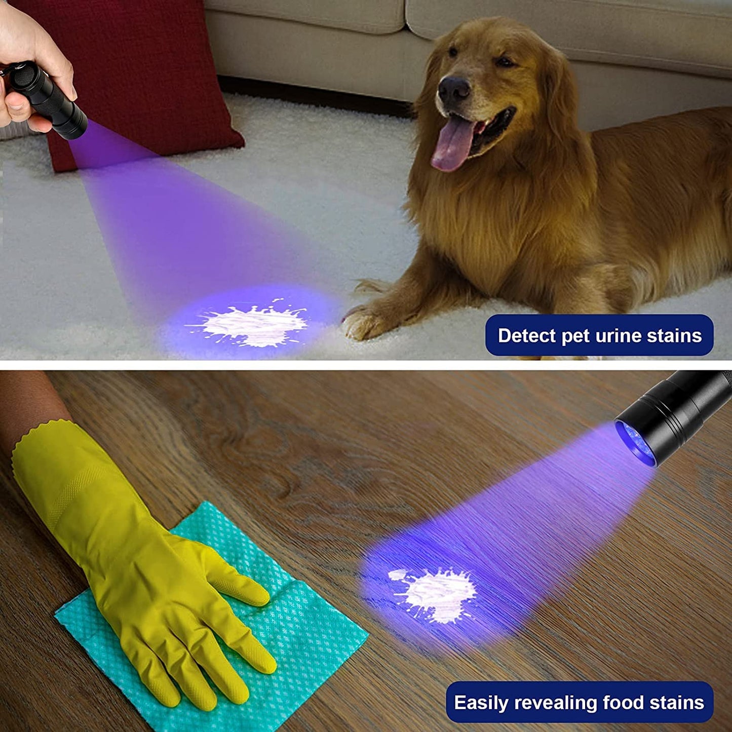 MegaPower (TM) UV Flashlight Black Light 12 LED 395nm Hand-held Detecting Torch for Pet Urine, Stains, Verifying Money Documents, Black - Available at All In One Marketplace Canada