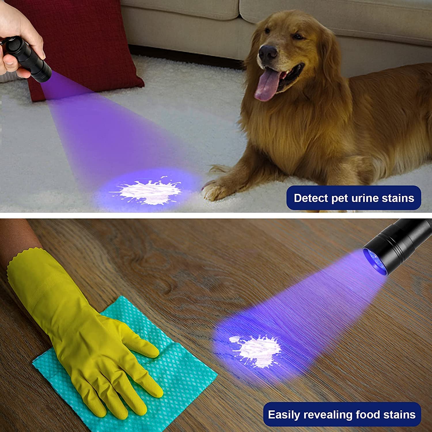 MegaPower (TM) UV Flashlight Black Light 12 LED 395nm Hand-held Detecting Torch for Pet Urine, Stains, Verifying Money Documents, Black - Available at All In One Marketplace Canada