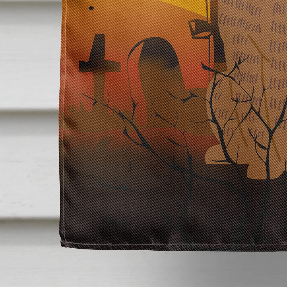 Drapeau de maison en toile Caroline's Treasures BB4383CHF Halloween Brindle Boxer, grande taille, multicolore