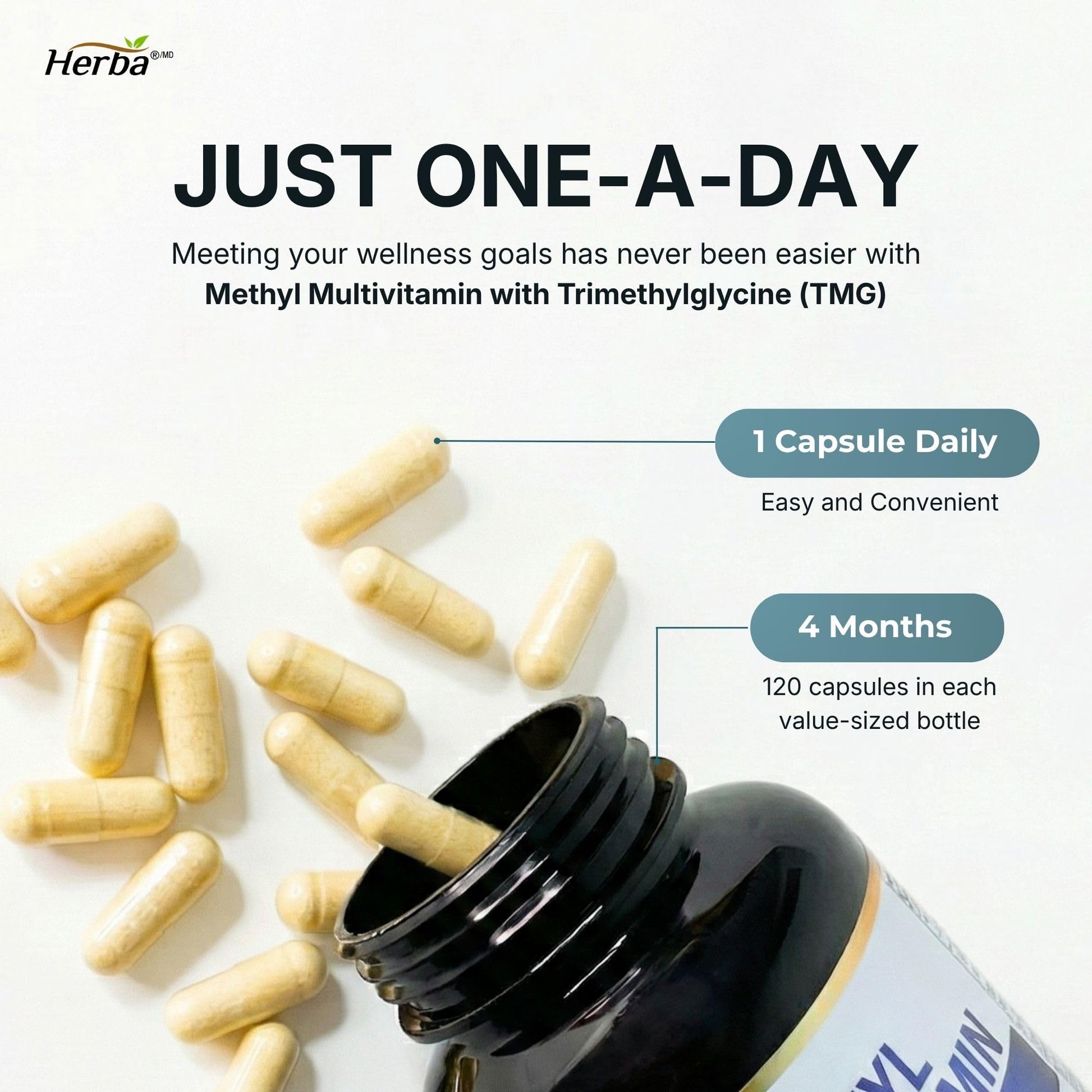 Herba Methylated Multivitamin with 500mg TMG & Methylated B Complex - 120 Capsules | 15 in 1 Formula | B Complex Vitamins for Women & Men including Methyl Folate Supplement | Vegan | Made in Canada - Available at All In One Marketplace Canada