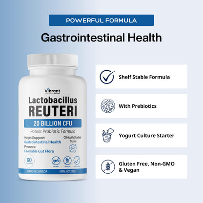 Lactobacillus Reuteri Probiotic 20 Billion CFU - L Reuteri Probiotic - Highest CFU Count, Gut Health, Yogurt Starter Culture, Probiotic With Prebiotic FOS, Made In Canada, 60 Capsules - Available at All In One Marketplace Canada