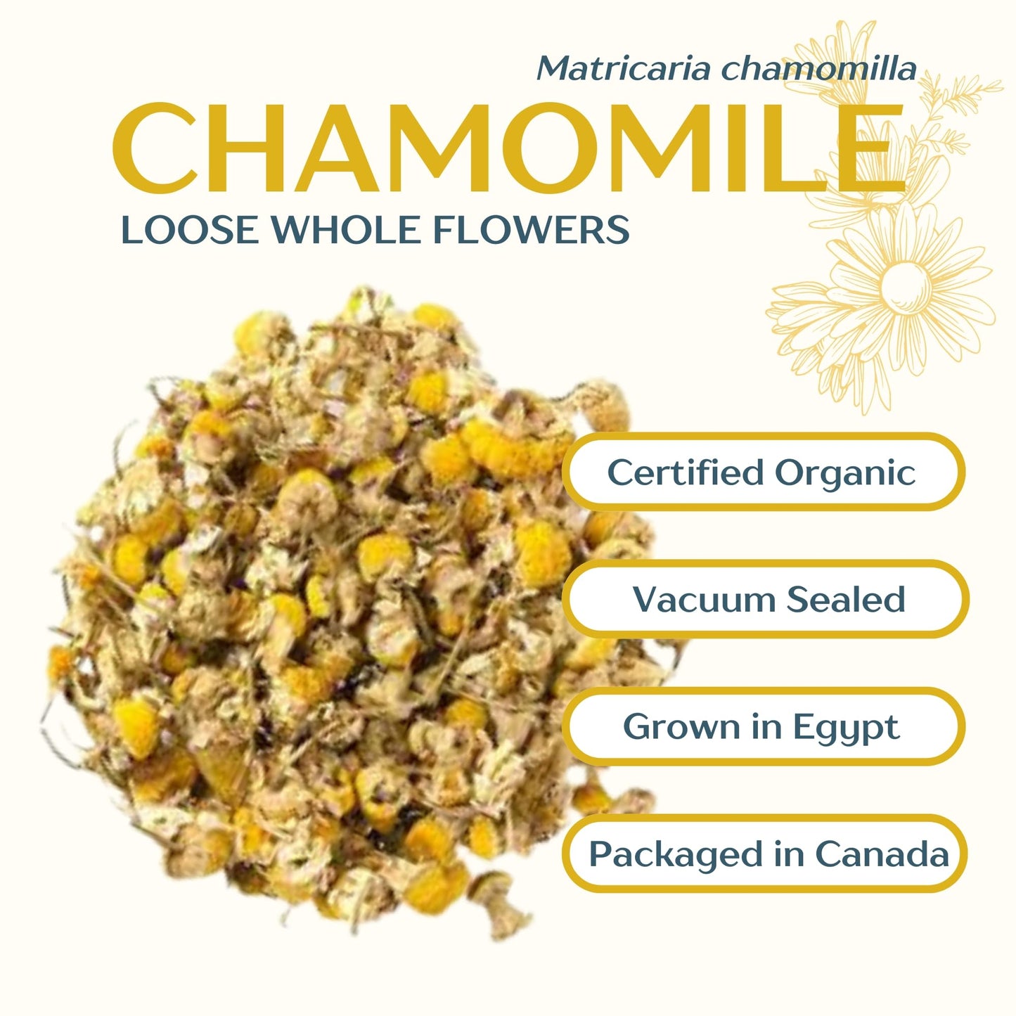 Dragonfly Herbs Organic Chamomile Tea – 250g Loose Whole Flowers, German Matricaria Chamomilla