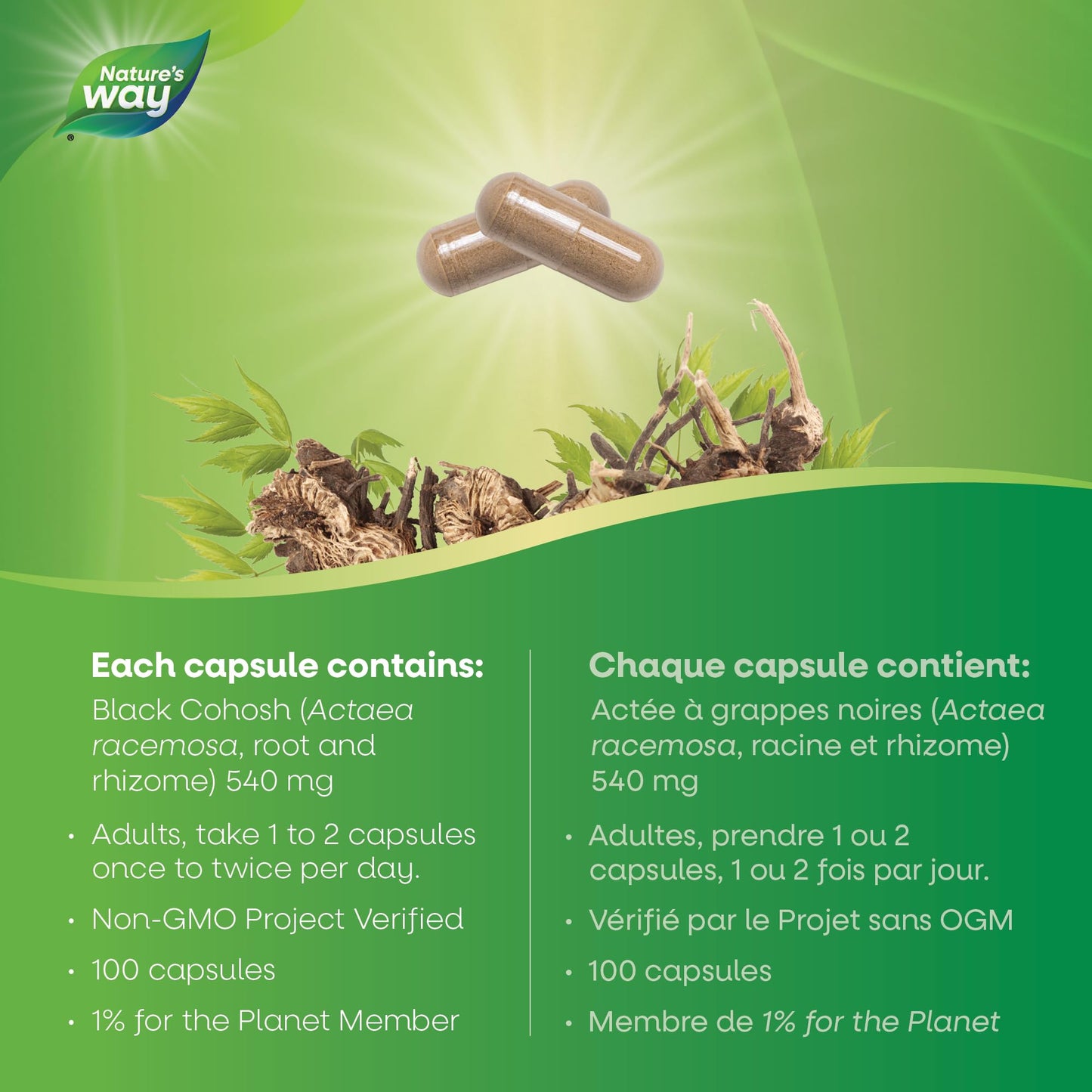 Nature's Way Black Cohosh Root – Hormone Balance for Women – 540mg Herbal Supplement for Menopausal Symptoms – Helps Relieve Menstruation Pain & Premenstrual Symptoms – 100 Vegetarian Capsules - Available at All In One Marketplace Canada