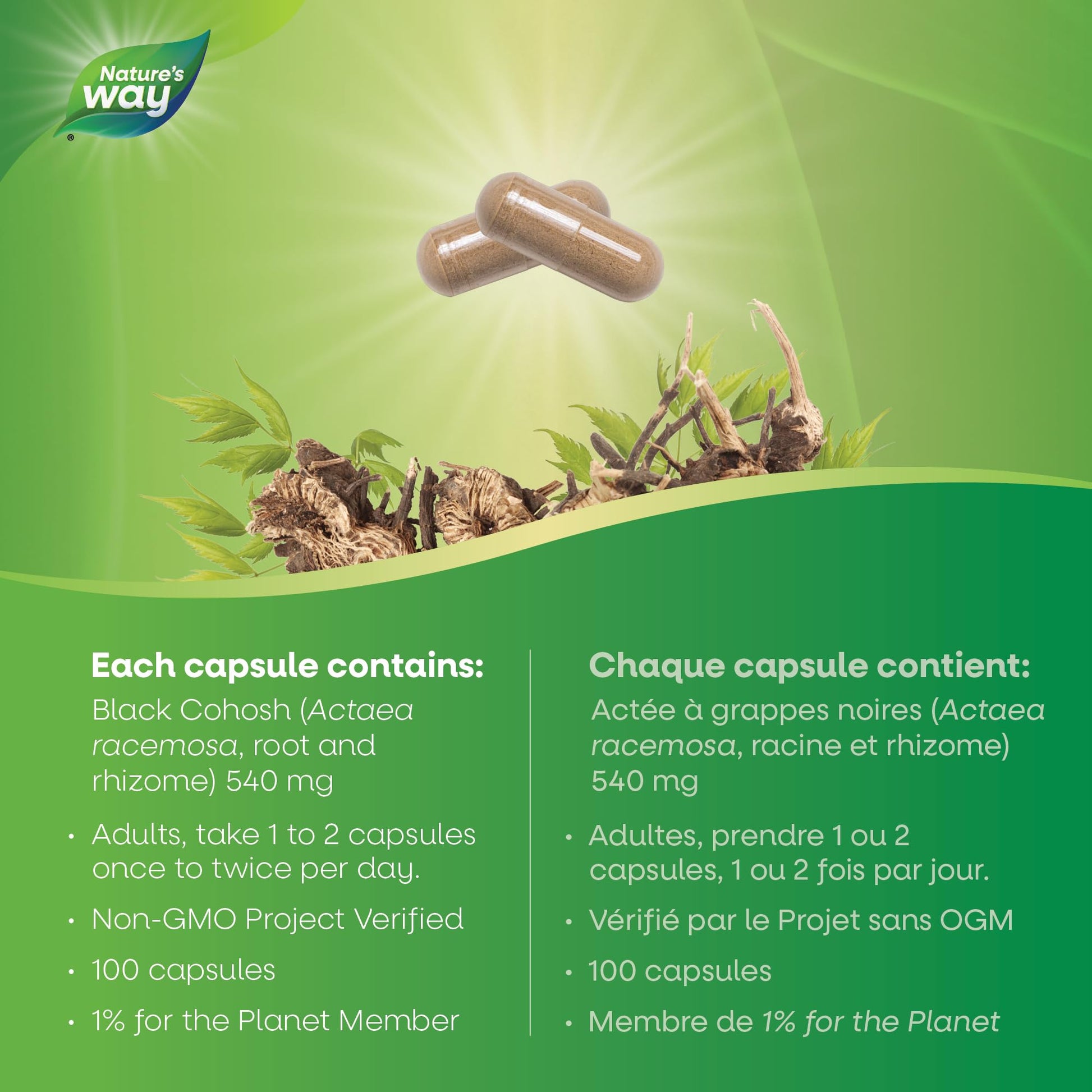 Nature's Way Black Cohosh Root – Hormone Balance for Women – 540mg Herbal Supplement for Menopausal Symptoms – Helps Relieve Menstruation Pain & Premenstrual Symptoms – 100 Vegetarian Capsules - Available at All In One Marketplace Canada