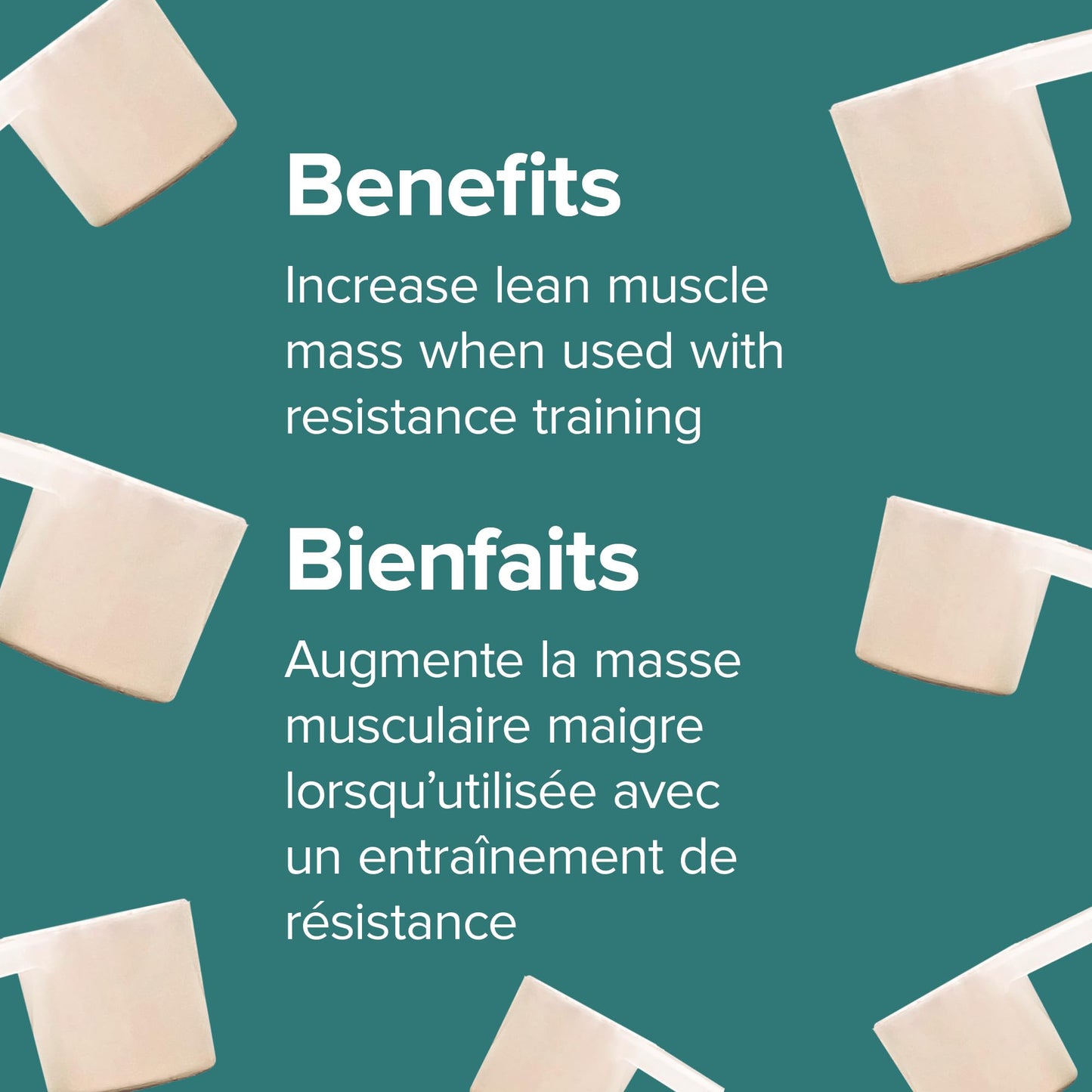 Webber Naturals Micronized Creatine Monohydrate Powder | 5g Per Serving | 100 Servings | Canadian-Made | Vegan | Supports Muscle, Strength & Performance | Unflavored | For Men & Women Webber Naturals