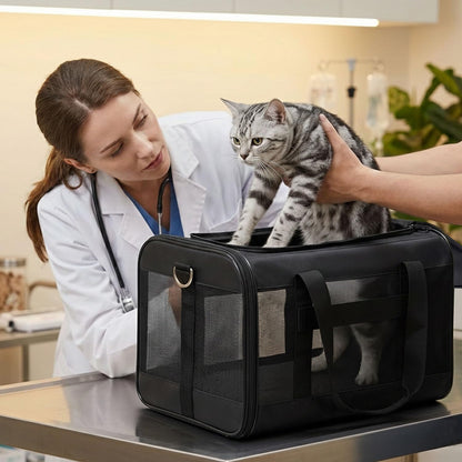 Conlun Cat Carrier Airline Approved, Soft-Sided Dog Carrier with Inner Safety Leash, Pet Transport Carrier for Small-Medium Cats Puppies up to 15 Lbs, Collapsible Travel Kitten Carrier Bag -Black M