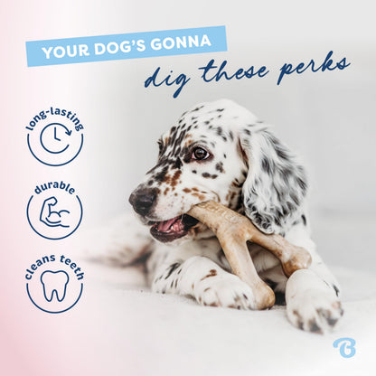 Benebone Puppy 4-Pack Dog Chew Toys for Gentle Chewers, Dog Bones, Small
