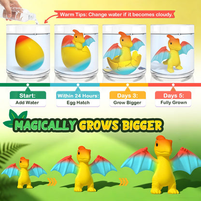Dinosaur Hatching Eggs for Kids - 6 Pack Dinosaur Toys for Boys and Girls 🍁 All In One Marketplace Canada