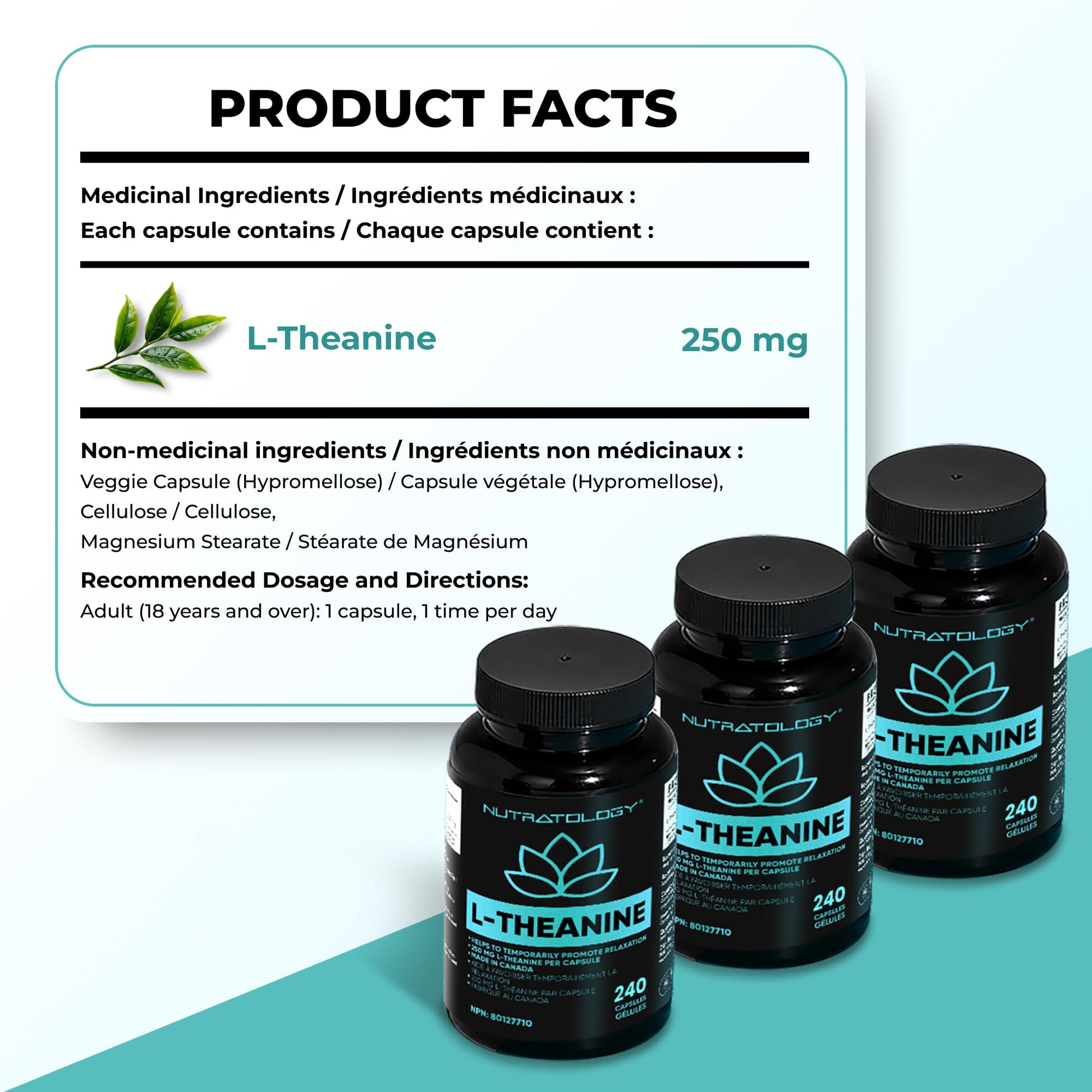Nutratology® L-Theanine 250MG Capsules | Canadian-Made | For Stress Management | Promotes Relaxation & Calmness Without Drowsiness - L-Theanine Supplement for Stress Relief | 240 Capsules
