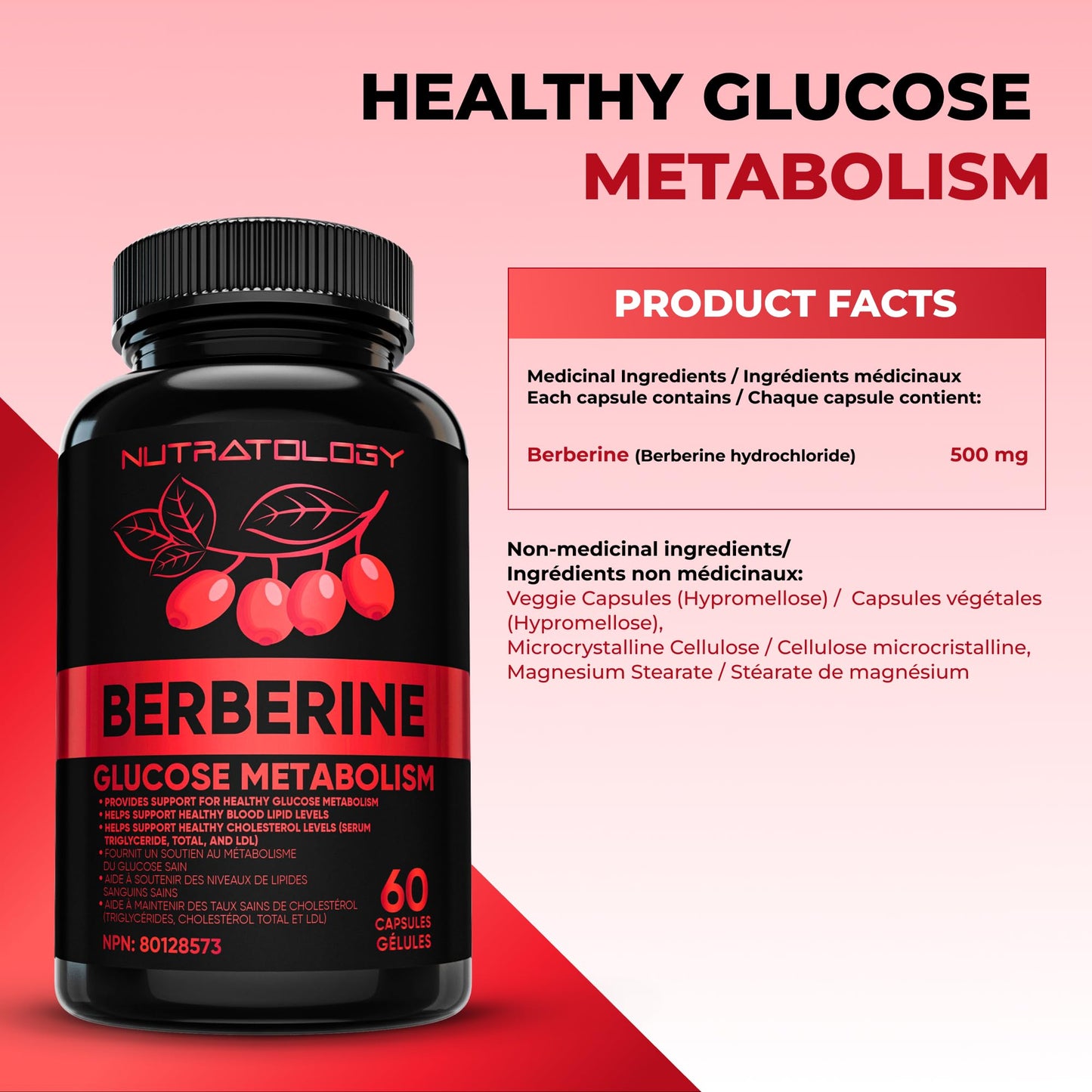 Nutratology® Berberine Supplement | Canadian-Made | Max Potency 500MG Per Capsule - Supports Glucose Metabolism & Healthy Blood Sugar Levels Through Efficient Metabolism Of Sugar & Fats - 60 Capsules - Available at All In One Marketplace Canada