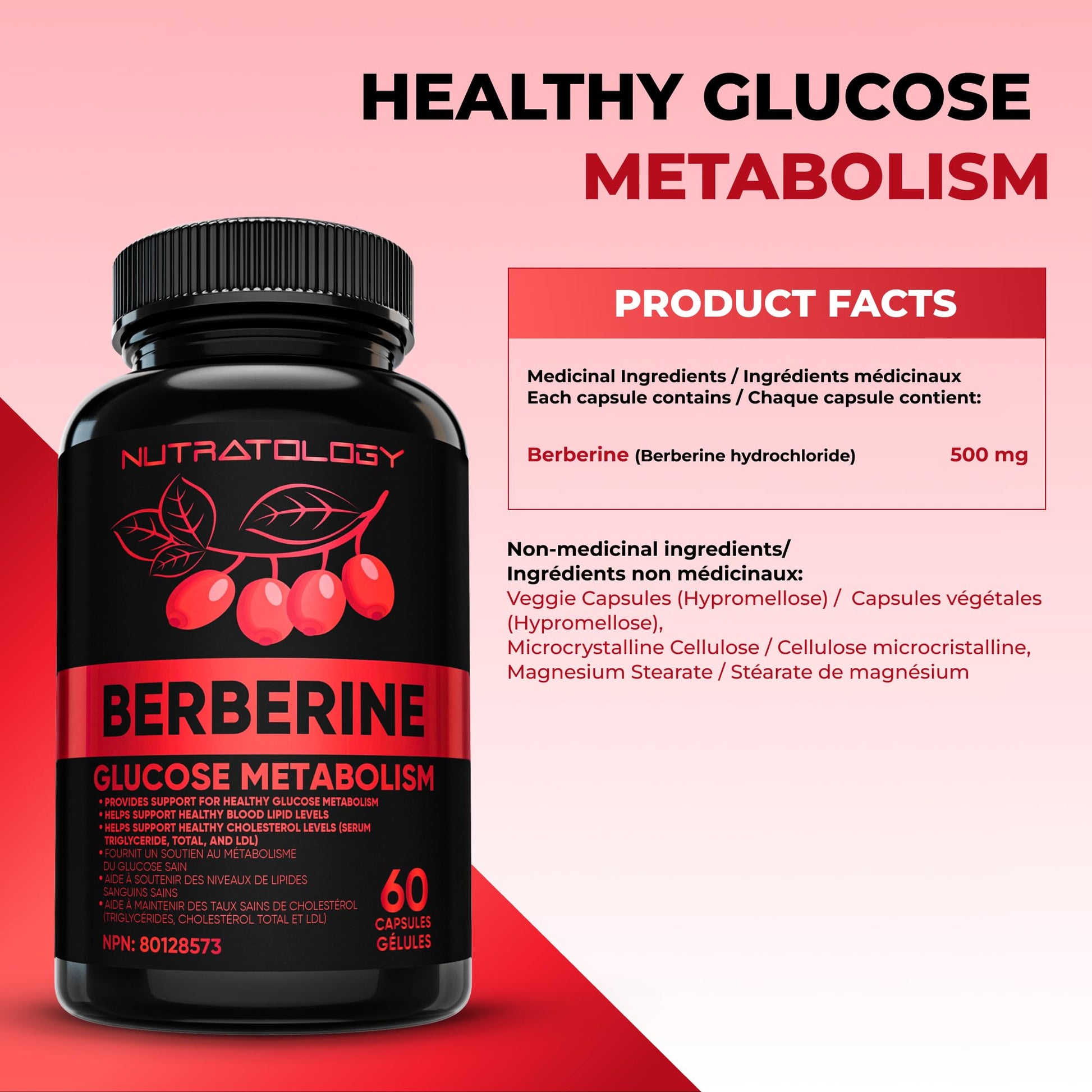 Nutratology® Berberine Supplement | Canadian-Made | Max Potency 500MG Per Capsule - Supports Glucose Metabolism & Healthy Blood Sugar Levels Through Efficient Metabolism Of Sugar & Fats - 60 Capsules - Available at All In One Marketplace Canada