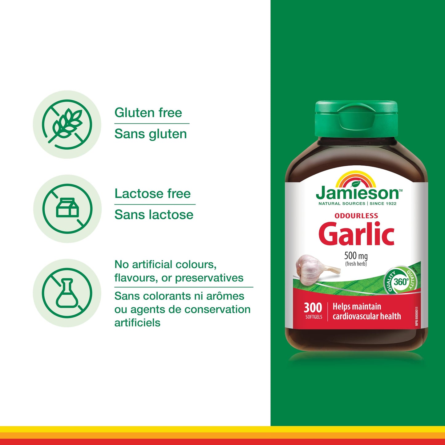 Jamieson Odourless Garlic 500 mg, Supports Heart Health, and Provides Immune Support. Non-GMO, Gluten-Free, 300 Softgels, Proudly Canadian - Available at All In One Marketplace Canada
