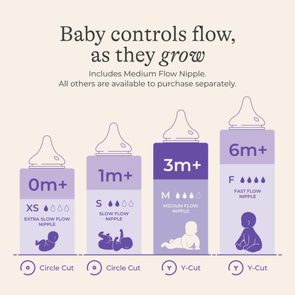 Lansinoh Anti-Colic Baby Bottles for Breastfeeding Babies, 240 ml (8 Ounces), 3 Count, Includes 3 Medium Flow Nipples, Size M