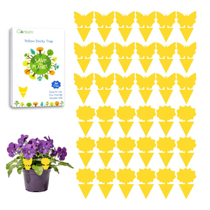 Garsum Fruit Fly Trap Indoor and Outdoor, 36 Pack Gnat Sticky Traps for House Plants, Flying Insect Trap for Fungus Gnat,Mosquitos, White Flies