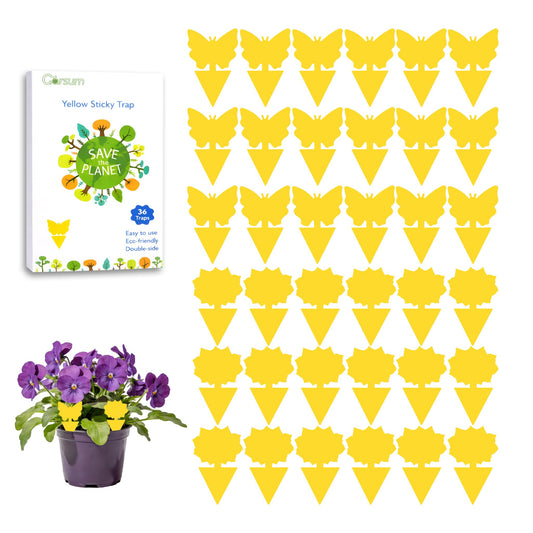 Garsum Fruit Fly Trap Indoor and Outdoor, 36 Pack Gnat Sticky Traps for House Plants, Flying Insect Trap for Fungus Gnat,Mosquitos, White Flies