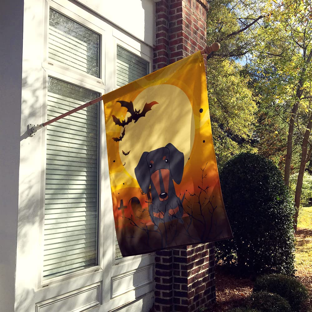 Drapeau de maison en toile Caroline's Treasures BB4398CHF motif teckel d'Halloween noir et feu, grand format, multicolore