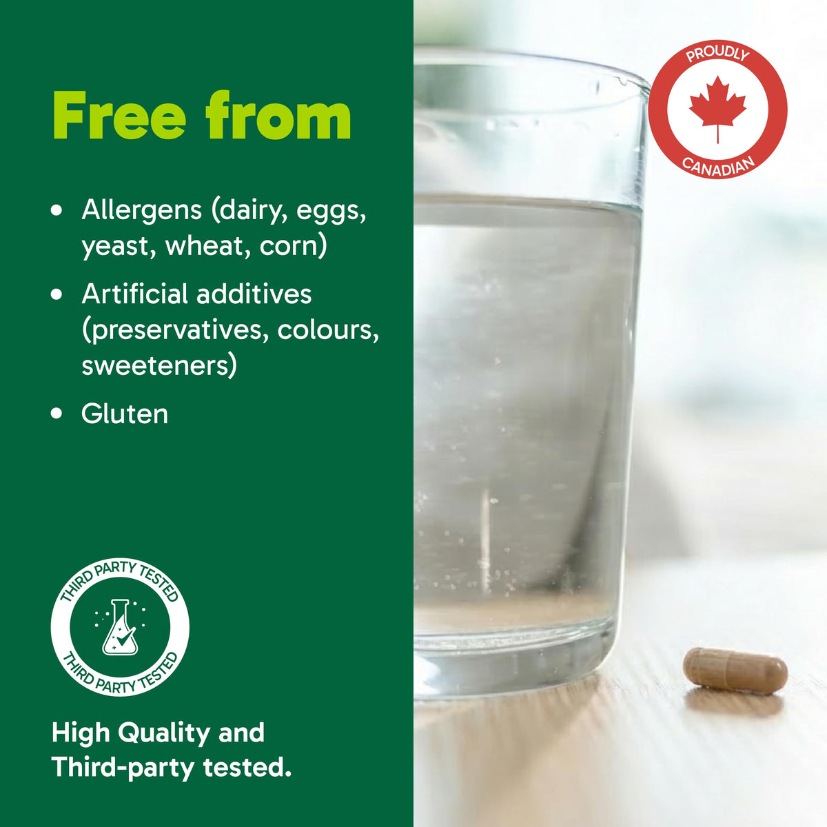 Organika Canadian-Made L-Theanine + Caffeine | Natural Yerba Mate Caffeine & L-Theanine Blend | Focus, Alertness & Calm Energy | 60 vegetarian capsules